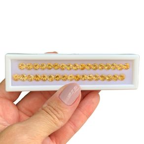 Capa Branca